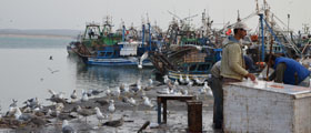 essaouira